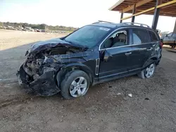 Salvage Cars with No Bids Yet For Sale at auction: 2012 Chevrolet Captiva Sport