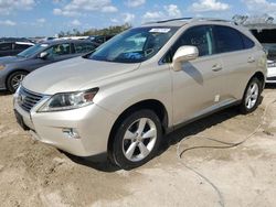 Salvage cars for sale at Riverview, FL auction: 2013 Lexus RX 350 Base