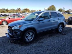 2010 Honda CR-V EXL en venta en Hillsborough, NJ