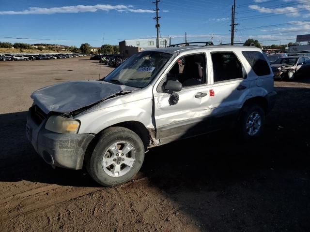 2006 Ford Escape XLT