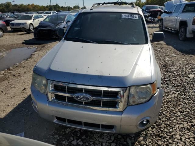 2010 Ford Escape XLT