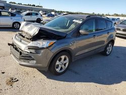 Salvage cars for sale from Copart Gaston, SC: 2013 Ford Escape SE