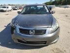 2010 Honda Accord LXP