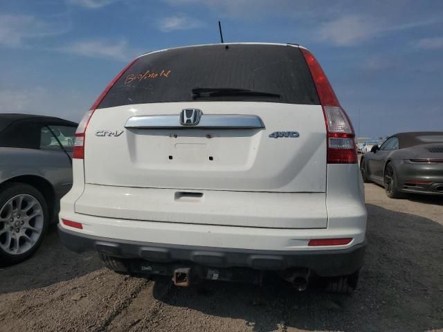 2010 Honda CR-V EX