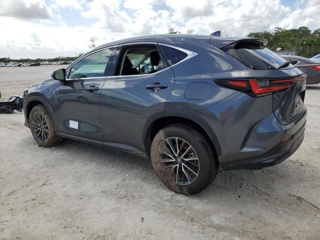 2025 Lexus NX 250 Premium