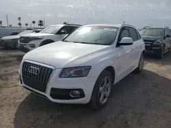 2011 Audi Q5 Premium Plus en venta en Arcadia, FL