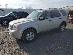 Vehiculos salvage en venta de Copart Albany, NY: 2009 Ford Escape XLT