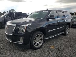 Carros dañados por inundaciones a la venta en subasta: 2017 Cadillac Escalade Luxury