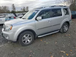 Honda salvage cars for sale: 2009 Honda Pilot Touring