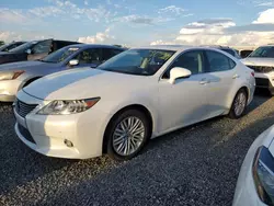 Flood-damaged cars for sale at auction: 2013 Lexus ES 350