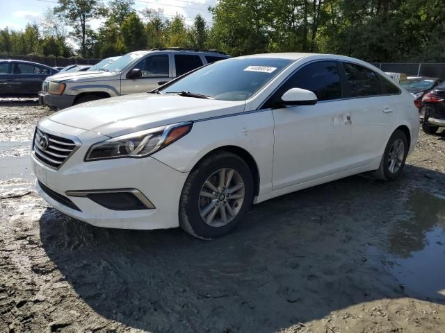 2016 Hyundai Sonata SE