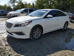 Hyundai Sonata Vehiculos salvage en venta: 2016 Hyundai Sonata SE