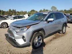 Salvage cars for sale at Elgin, IL auction: 2019 Toyota Rav4 XLE