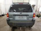 2007 Ford Escape XLT