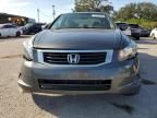 2010 Honda Accord LXP