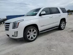 Carros salvage para piezas a la venta en subasta: 2019 Cadillac Escalade Luxury