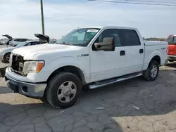 Salvage trucks for sale at Lebanon, TN auction: 2014 Ford F150 Supercrew