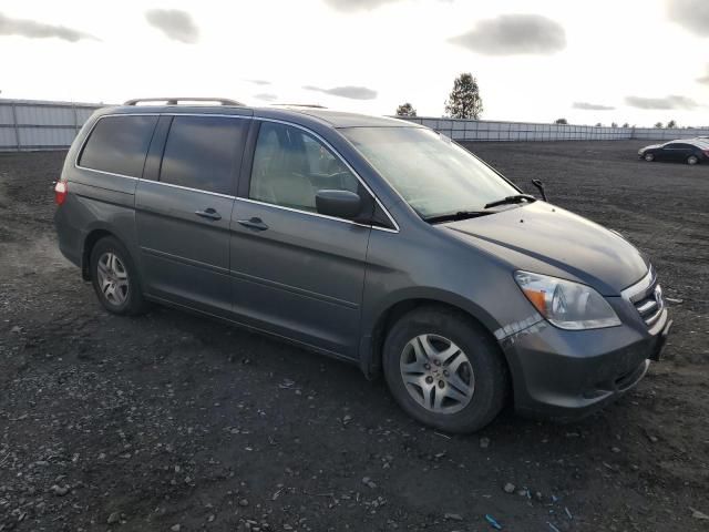 2007 Honda Odyssey EXL