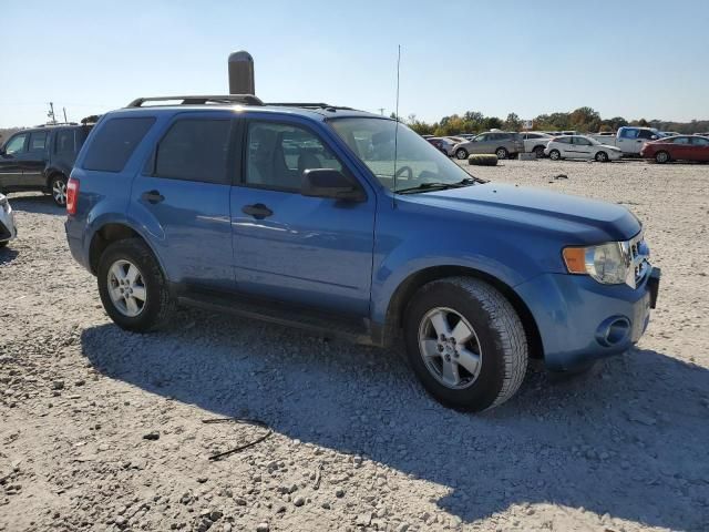 2009 Ford Escape XLT