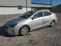 Salvage cars for sale at Leroy, NY auction: 2019 Hyundai Elantra SE