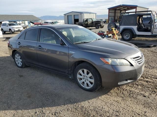 2008 Toyota Camry Hybrid