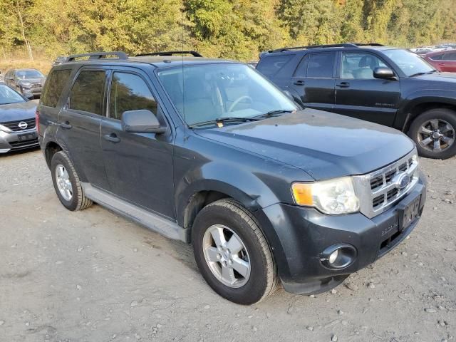 2009 Ford Escape XLT