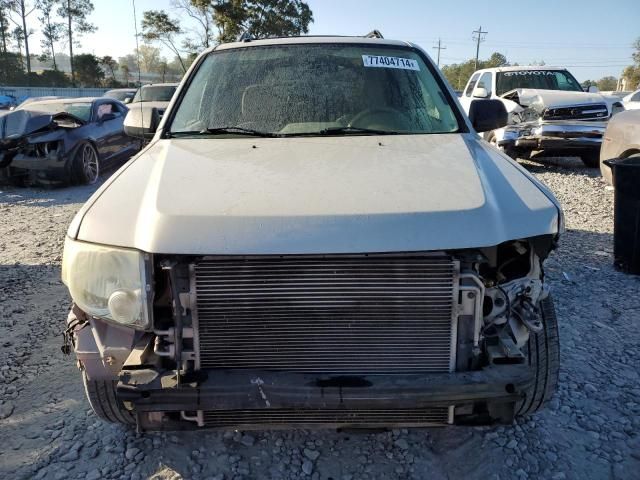 2008 Ford Escape XLT