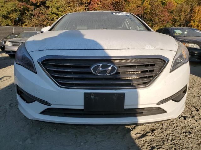 2015 Hyundai Sonata ECO