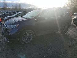 Honda salvage cars for sale: 2020 Honda CR-V EXL