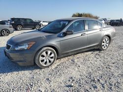 Salvage cars for sale at Temple, TX auction: 2008 Honda Accord EXL