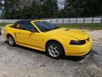 1999 Ford Mustang GT