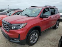 Salvage cars for sale at Arcadia, FL auction: 2023 Honda Passport Trail Sport