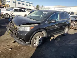 Salvage cars for sale at Albuquerque, NM auction: 2012 Honda CR-V EX