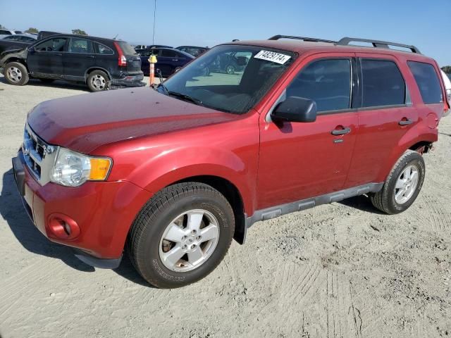 2012 Ford Escape XLT