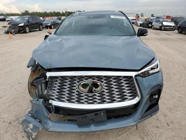 2022 Infiniti QX55 Sensory