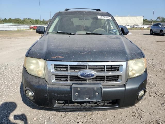 2008 Ford Escape XLT