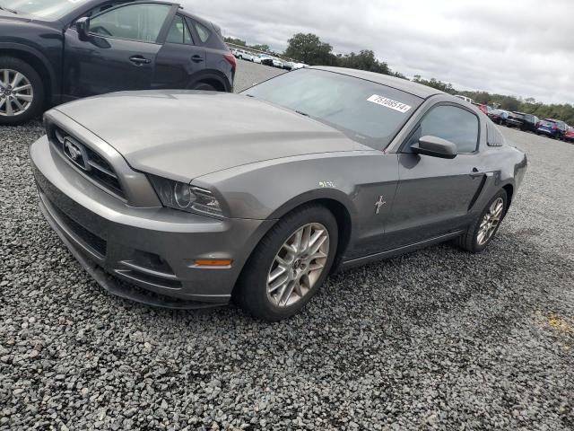 2013 Ford Mustang