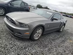 Ford salvage cars for sale: 2013 Ford Mustang