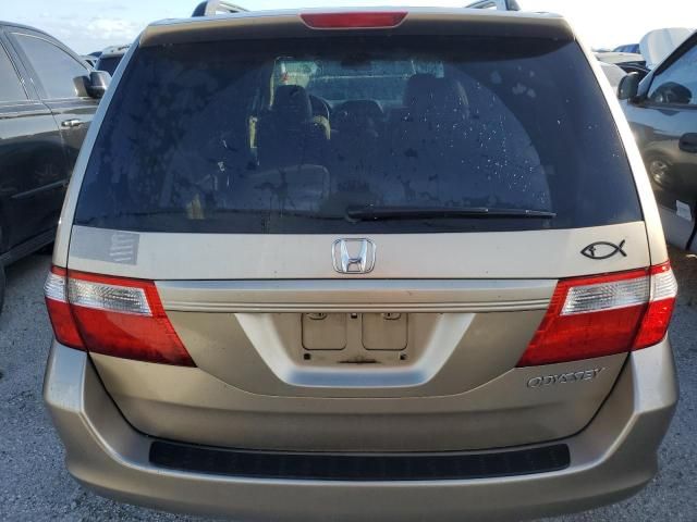 2005 Honda Odyssey EXL