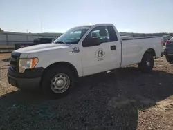 Salvage trucks for sale at Chatham, VA auction: 2013 Ford F150