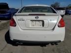 2008 Nissan Maxima SE