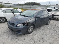 Toyota salvage cars for sale: 2010 Toyota Corolla Base