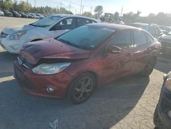 Salvage cars for sale at Bridgeton, MO auction: 2013 Ford Focus SE