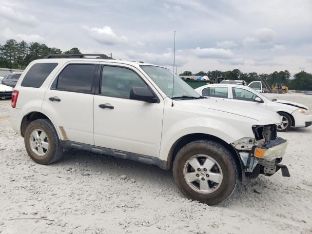 2011 Ford Escape XLT