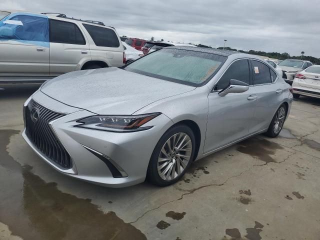 2019 Lexus ES 350