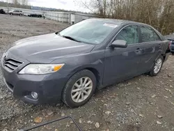 Toyota salvage cars for sale: 2010 Toyota Camry Base