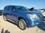 2009 Lexus LX 570