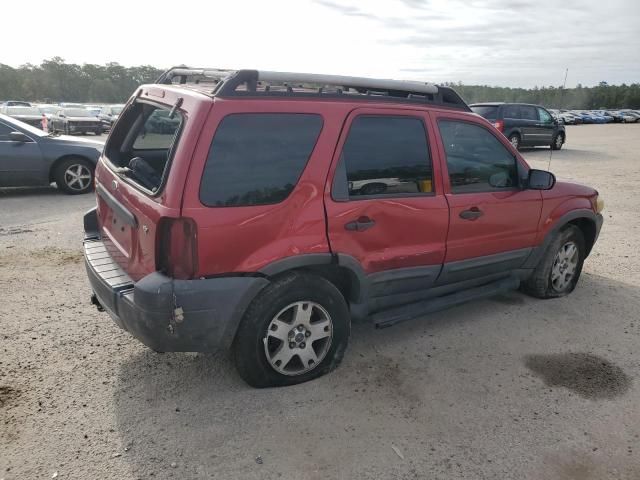 2005 Ford Escape XLT