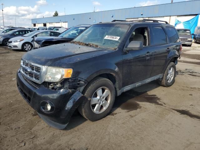 2011 Ford Escape XLT