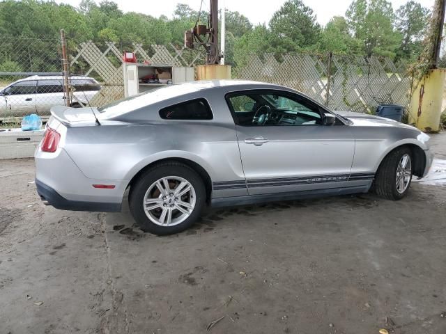 2010 Ford Mustang